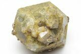 Yellow, Andradite-Grossular Mali Garnet - Kayes Region #216838-1